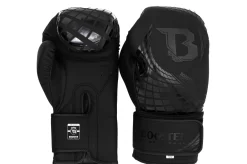 Gants De Boxe - BFG Cube, Booster -Boutique de boxe gant de boxe bfg cube booster 2