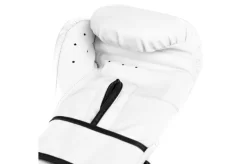 Gants D'Entraînement - Core 2, Everlast -Boutique de boxe gants d entrainement core 2 everlast 2