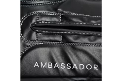 Gants De Boxe - Ambassador, Leone -Boutique de boxe gants de boxe ambassadeur gn207 leone 8