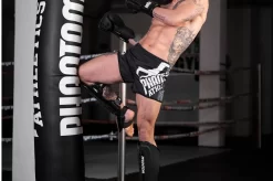 Gants De Boxe - APEX, Phantom Athletics 18 Gants De Boxe - APEX, Phantom Athletics -Boutique de boxe gants de boxe apex phantom athletics 5