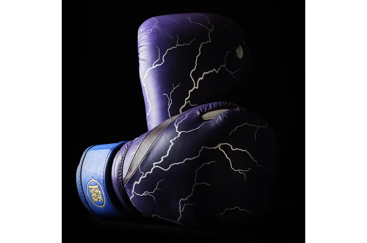 Gants De Boxe Collector, Edition Limitée Dragon Ball Z - Gohan, Elion Paris 2 Gants De Boxe Collector, Edition Limitée Dragon Ball Z - Gohan, Elion Paris – Image 2