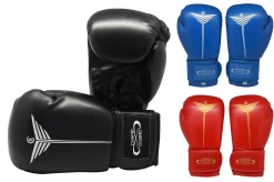 Gants De Boxe - Entraînement, ChampBoxing