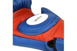 Gants De Professeur PRO - BGVL13, Fairtex -Boutique de boxe gants de professeur pro bgvl13 fairtex 4