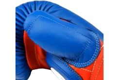 Gants De Professeur PRO - BGVL13, Fairtex -Boutique de boxe gants de professeur pro bgvl13 fairtex 5
