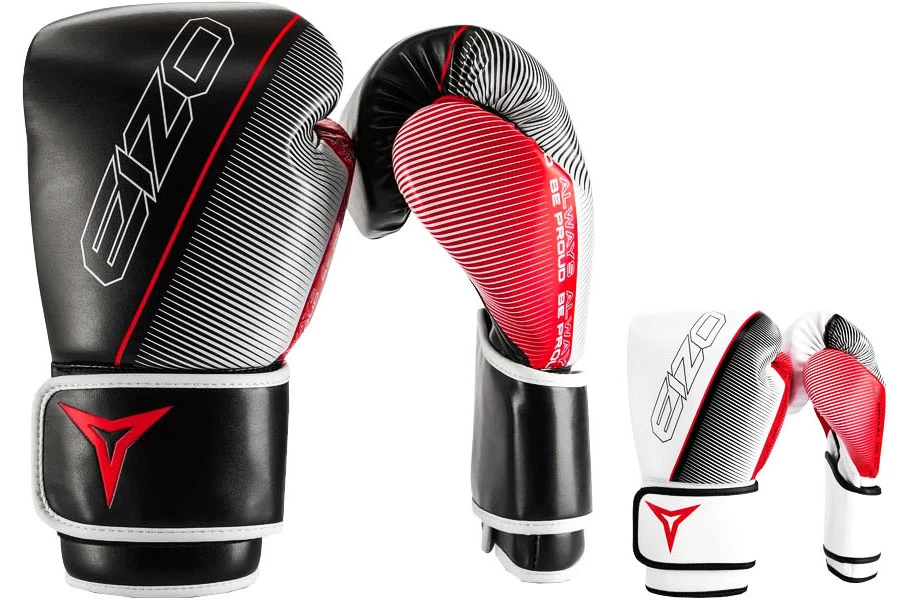 Gants D’Entraînement - GAMMA, Eizo Boxing 1 Gants D’Entraînement - GAMMA, Eizo Boxing