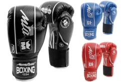 Gants De Boxe, Initiation - HAWK, Montana