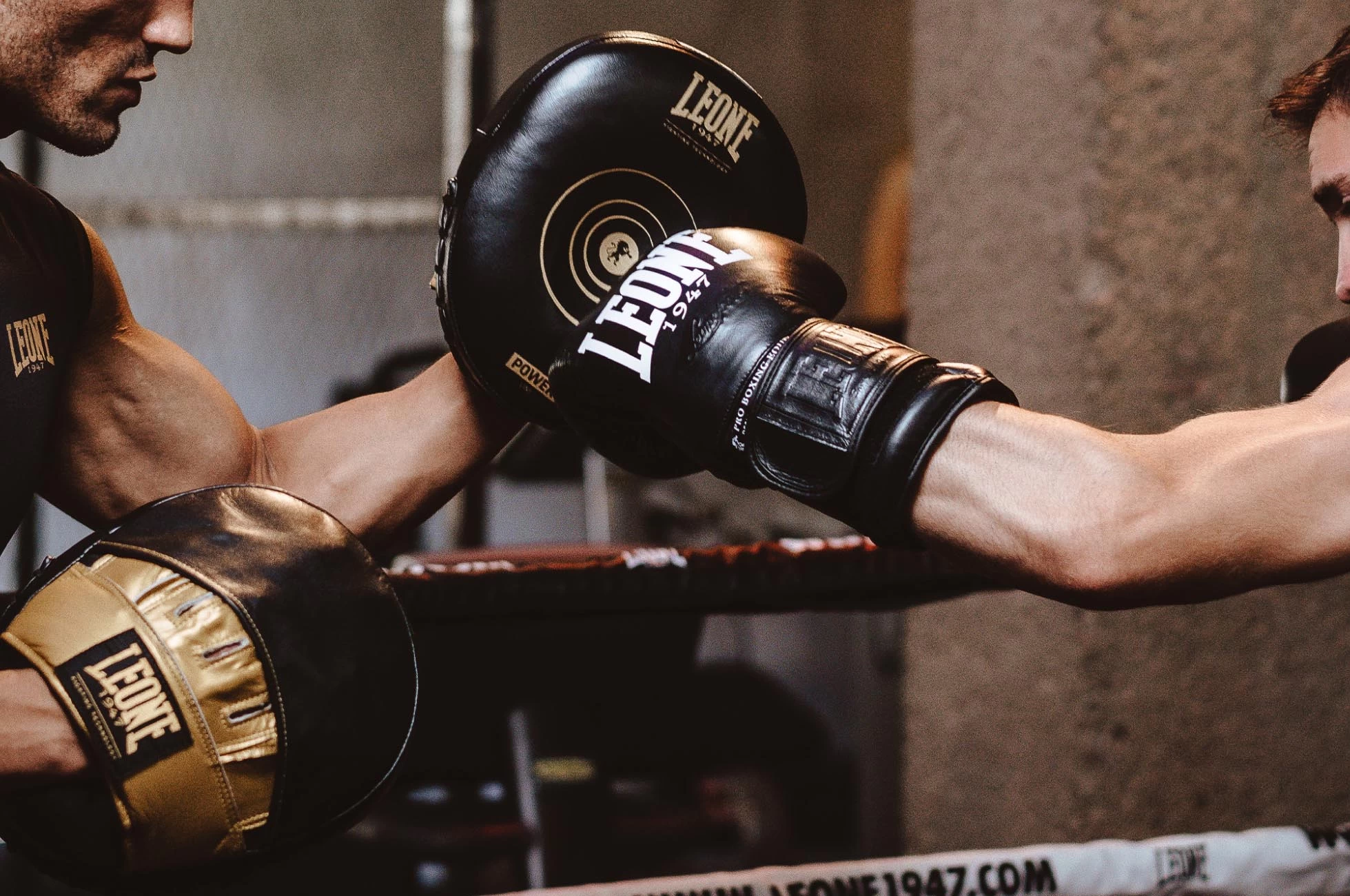 Pattes D'ours AIR - Power Line, Leone 2 Pattes D'ours AIR - Power Line, Leone – Image 2